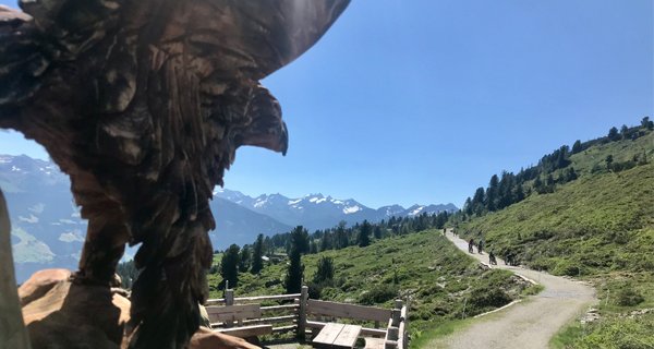 Panorama Wanderweg Hubertus Wildtierpfad 