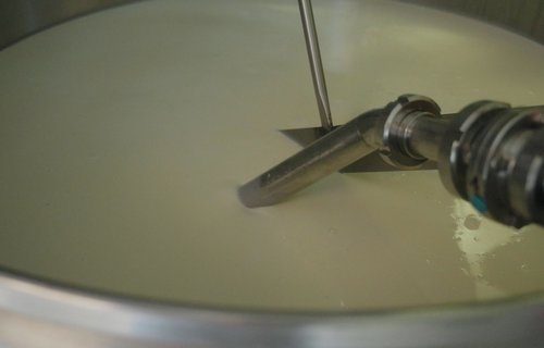 Käseproduktion 