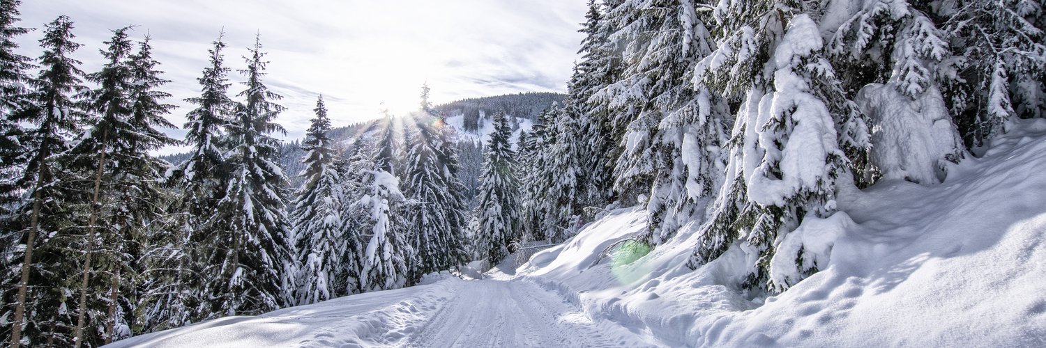 Winterwald mit Winterwanderweg