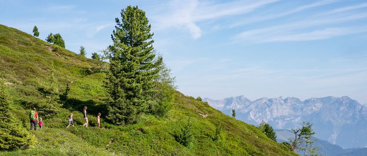 Wanderung mit Bergpanorama 