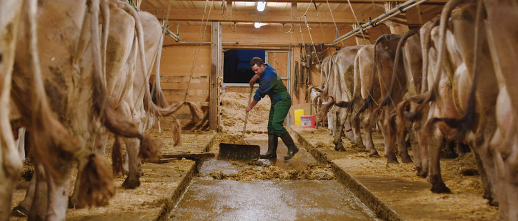 Alexander Hirner bei der Stallarbeit