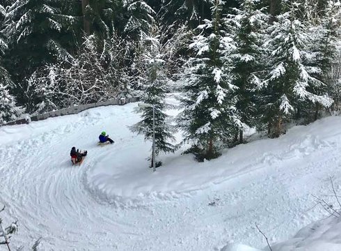 Rodeln am Fügenberg auf der Goglhof Rodelbahn