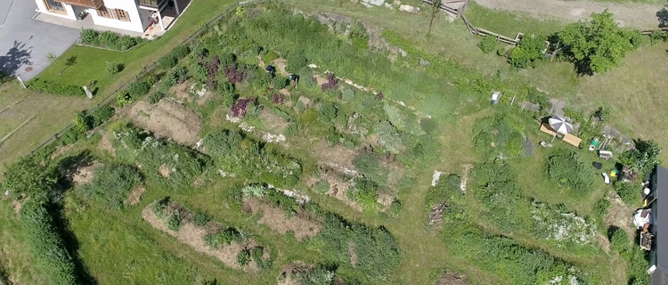 Permakulturgarten in Stumm im Zillertal 