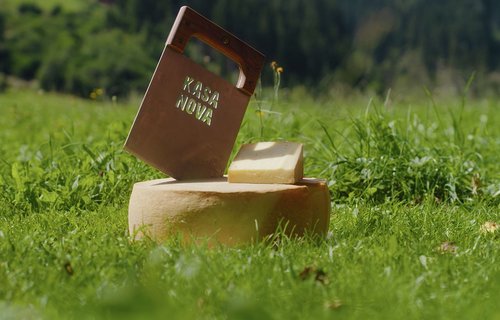 Käselaib in Gras 