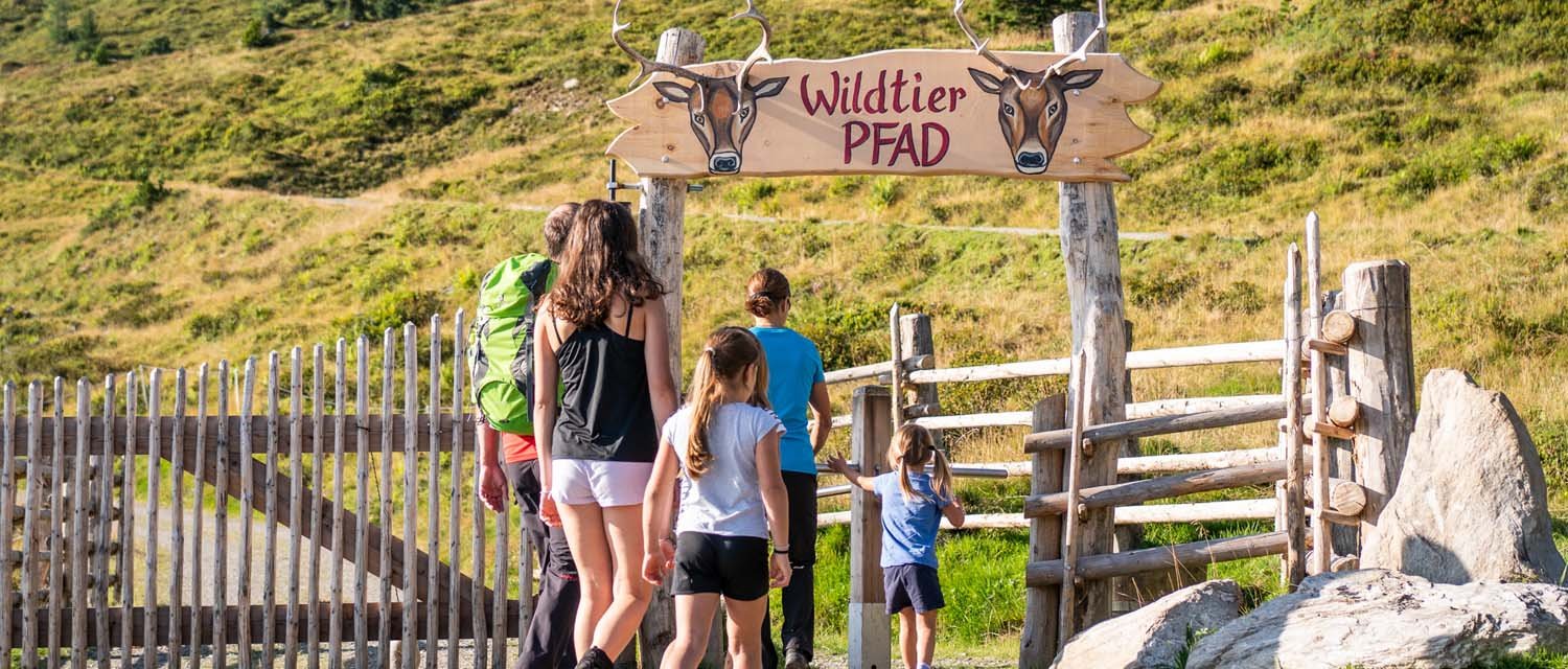 Themenwanderweg Wildtierpfad im Zillertal